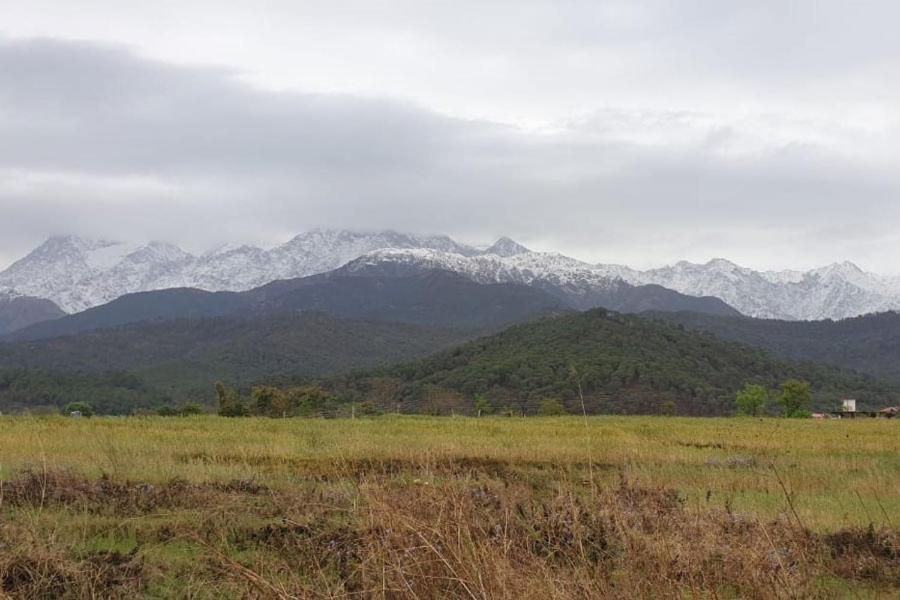 Pālampur Nagri Resort מראה חיצוני תמונה