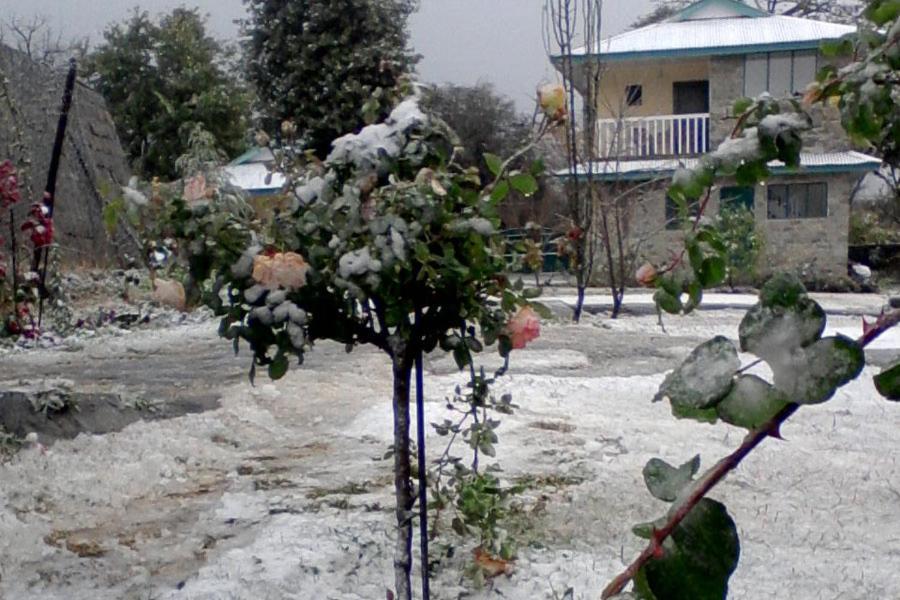 Pālampur Nagri Resort מראה חיצוני תמונה