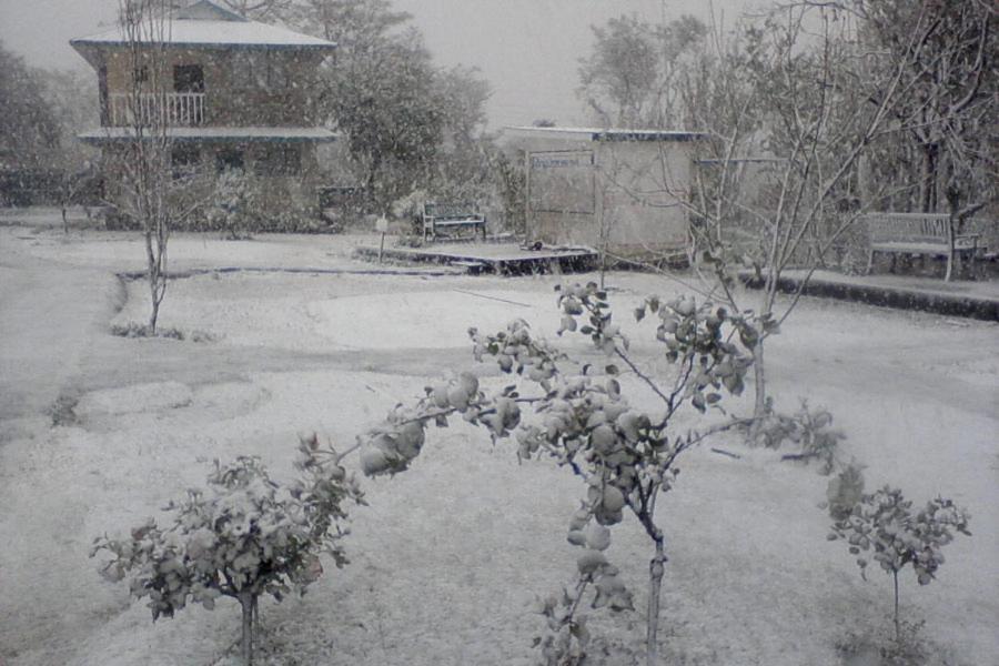 Pālampur Nagri Resort מראה חיצוני תמונה