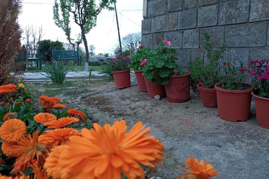 Pālampur Nagri Resort מראה חיצוני תמונה